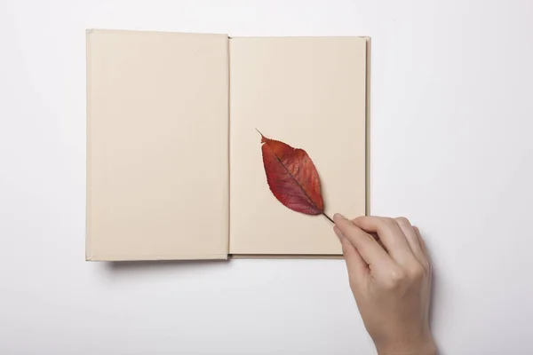 Mujer Sostener Libro Hoja Mesa Blanca — Foto de Stock