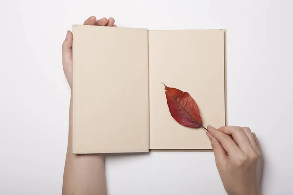 Рука Жінки Тримає Книгу Лист Білому Столі — стокове фото