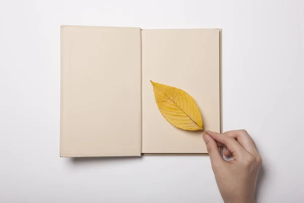 Mano Mujer Tiene Lápiz Con Libro Hojas Mesa Blanca — Foto de Stock