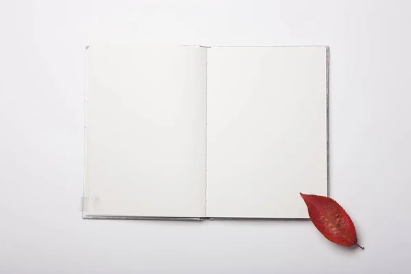 White book spread with leaf on the white table.