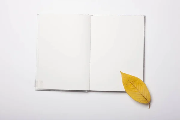 Біла Книга Поширена Листям Білому Столі — стокове фото