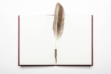 Beyaz arka planda bir kitabı olan bir tüy dolma kalem..