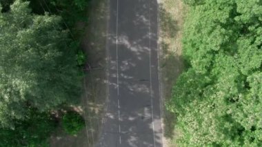 Sıcak yaz gününde ağaçlar ve asfalt yol üzerinde yavaş uçan. Poplar kabartmak kar gibi etrafında uçar. Sinematik drone 4k görüntüleri.