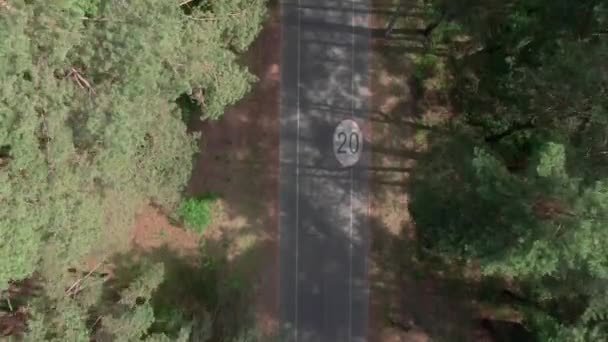 Vol rapide au-dessus des arbres et de la route asphaltée par une chaude journée d'été. Les peluches de peuplier volent comme la neige. Drone cinématographique séquences 4K .