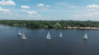 Yaz aylarında nehir üzerinde yat yarışı etrafında uçuyor. Yeşil ağaçların üzerinde bulutlu mavi gökyüzü. Arka planda şehir Köprüsü. 4k hava drone görüntüleri.