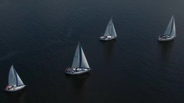 Voler Autour Yacht Avec Voile Blanche Sur Rivière Été Images — Video