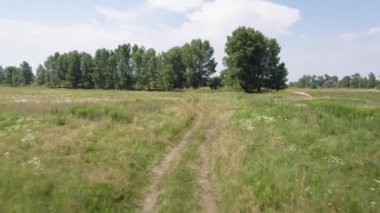 Yeşil çim ve çiçeklerle dolu bir arazide büyük ağaçlara doğru uçuyor..