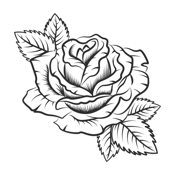 Plantilla hermosa flor rosa vintage para el diseño del tatuaje ilustración vectorial aislada — Archivo Imágenes Vectoriales