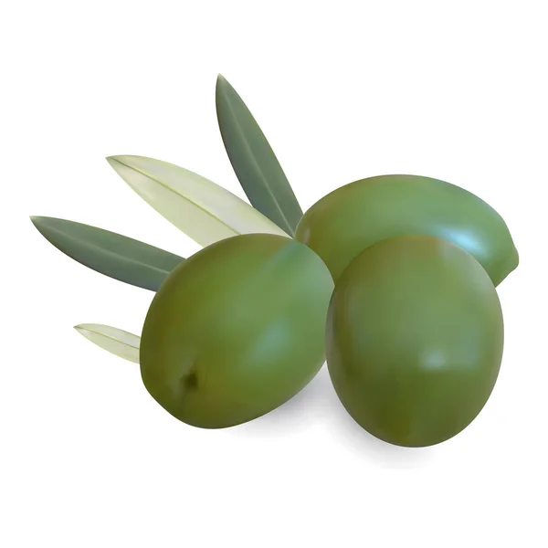 現実的なオリーブ果実と葉。白い背景上に分離。3 d イラストレーション — ストックベクタ