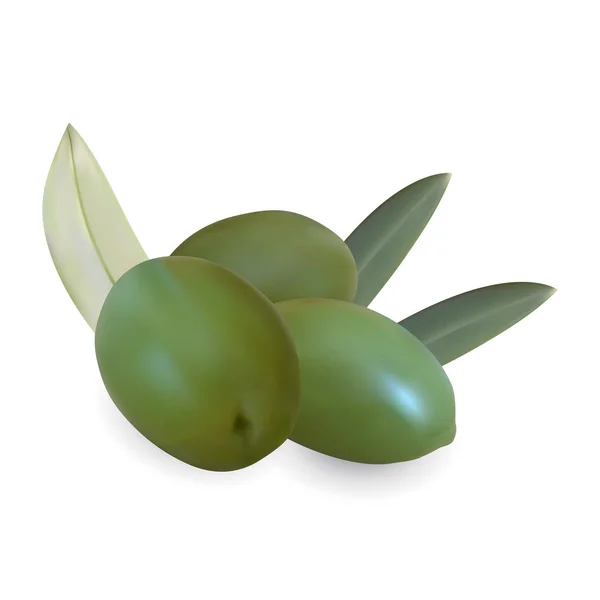 Frutas y hojas de olivo realistas. Aislado sobre un fondo blanco. ilustración 3d — Vector de stock