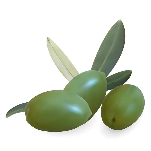 Frutas y hojas de olivo realistas. Aislado sobre un fondo blanco. ilustración 3d — Vector de stock