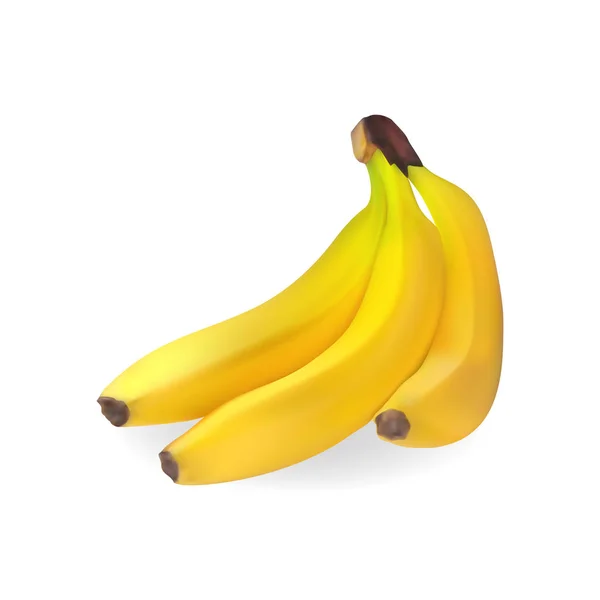 Realistic bunch of bananas. 3d vector illustration. — Stock Vector