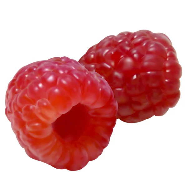 Realistic fresh juicy raspberry. 3d vector illustration. — Stock Vector