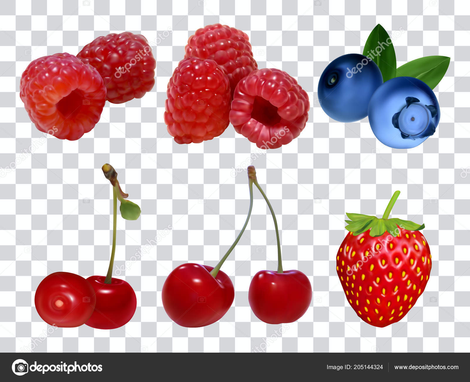 Set of different berries on a white background Vector Image