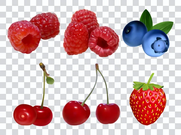 Conjunto Diferentes Bayas Fondo Transparente Ilustración Vectorial Realista Frambuesas Fresas — Archivo Imágenes Vectoriales