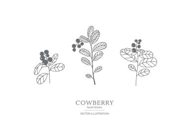 Elle çizilmiş Fuska seti