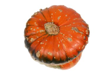 Beyaz arkaplanda dekoratif balkabağı.