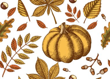 El yapımı yapraklar ve balkabaklarıyla sonbahar pürüzsüz deseni. Akçaağaç, huş ağacı, kestane, meşe palamudu, dişbudak ağacı, meşe. Robot resim. Duvar kağıdı için, web sayfası arkaplanı