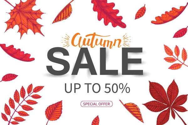 Vector Sale Herfst Spandoek Letteren Een Schets Handgetekende Doodle Bladeren — Stockvector