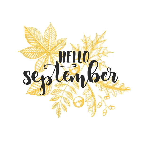 Autumn Lettering Caligrafia Frase Olá Setembro Cartão Convite Com Citação —  Vetores de Stock
