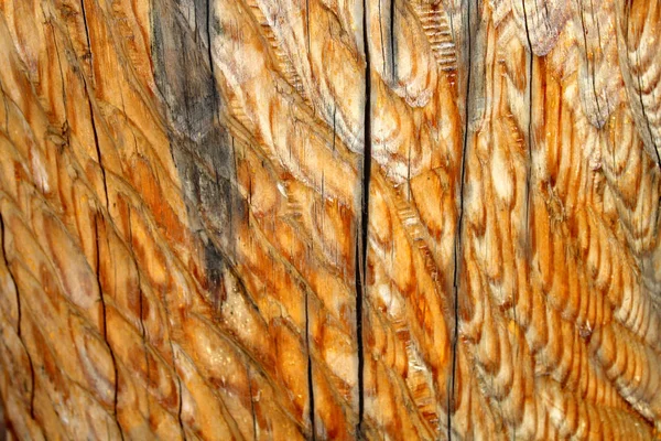 Ancienne texture de bois avec motif naturel — Photo