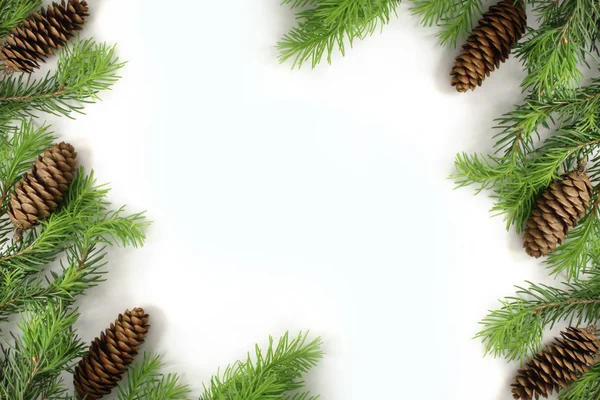 Noel kompozisyon. Noel çerçeve çam dalları köknar koni. Noel duvar kağıdı. Düz pozisyon.