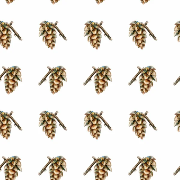 Resimde suluboya tarzında. Koniler ve Ladin ile Seamless modeli.