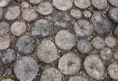 Yuvarlak ahşap güdük arka plan