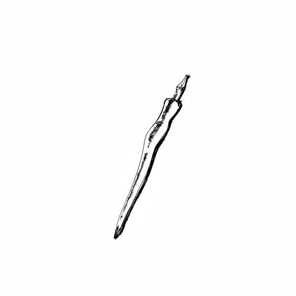 Sketch. Illustration of a pen for calligraphy — Stock Photo, Image