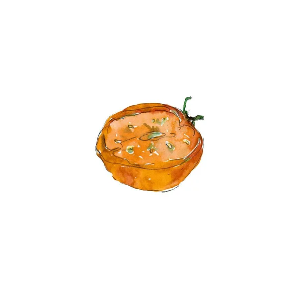 Akvarelu rajče zeleninové jídlo. Iisolated rajče. — Stock fotografie