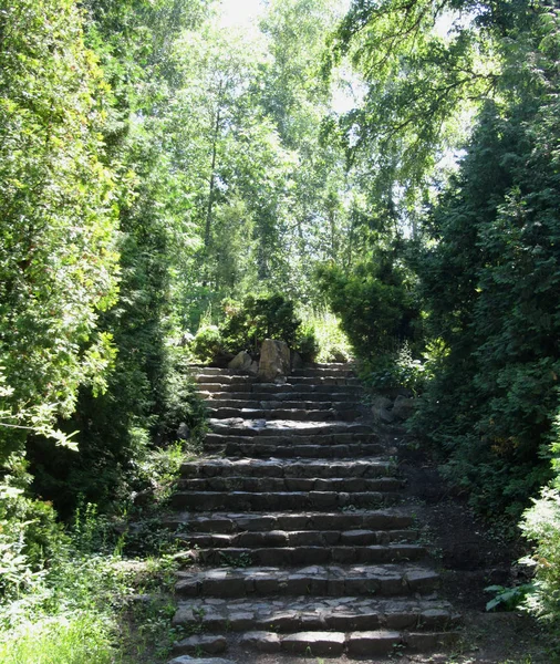 Old stone stair case in the forest