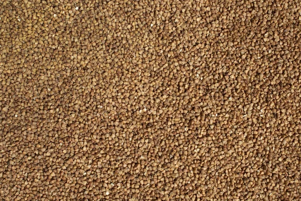 Dietary product. Dark Buckwheat texture high-quality photo of groats. — Stock Photo, Image