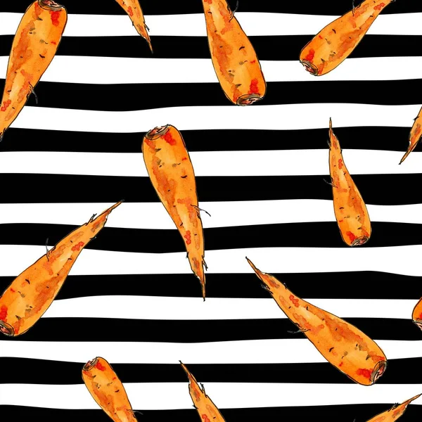 Бесшовный рисунок морковки акварелью. Ручной рисунок пищевых элементов, изолированных на белом и черном полосатом фоне . — стоковое фото