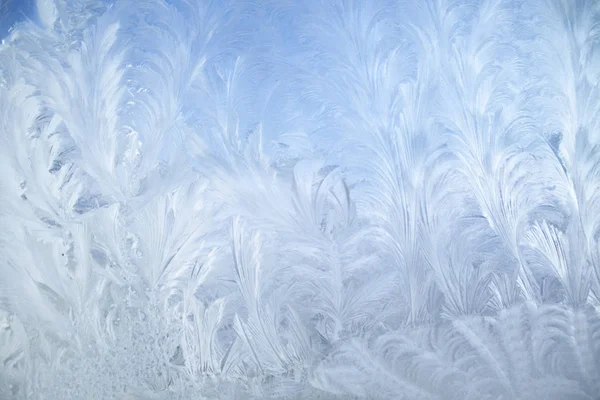 Kış camında buz desenleri