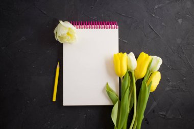 Beyaz kart ilanı, kalem ve laleler. Düz yatıyordu.