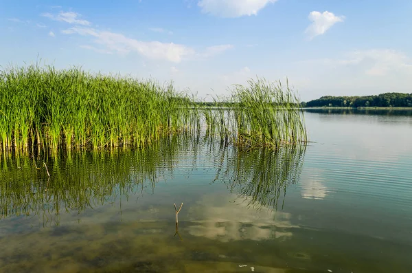 Orman Gölü bir sıcak yaz sabahı