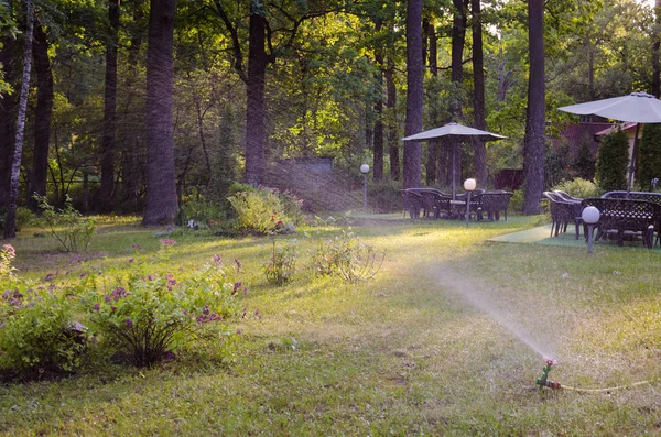 夏季炎热季节的园林浇水系统 — 图库照片