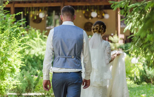 Жених Невеста Прогуливаются Парку Летом Вид Сзади — стоковое фото