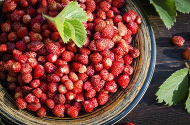 taze masada bir kasede orman olgun çilek hasat
