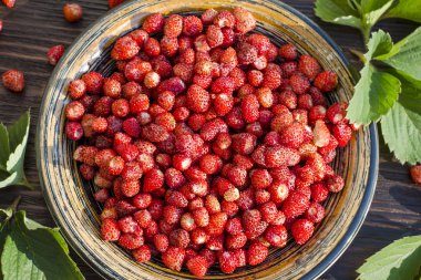 taze masada bir kasede orman olgun çilek hasat