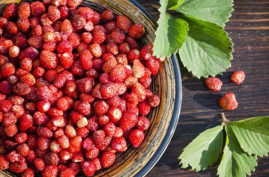 taze masada bir kasede orman olgun çilek hasat