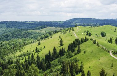 toprak yol yaz dağlarında