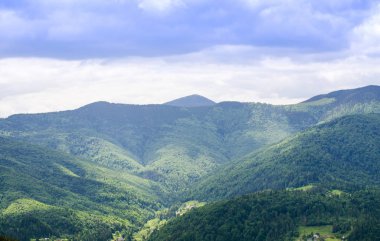 Yaz aylarında Karpat Dağları'nın dağ başında