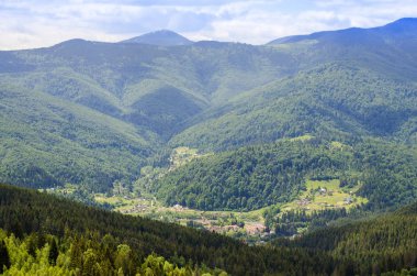 Yaz aylarında Karpat Dağları'nın dağ başında
