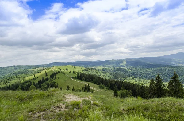 Dirt Path Mountains Summer — Stock Photo, Image