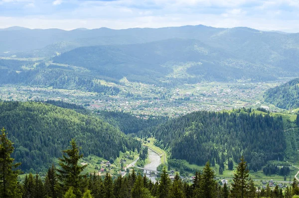 Yaz aylarında Karpat Dağları'nın dağ başında