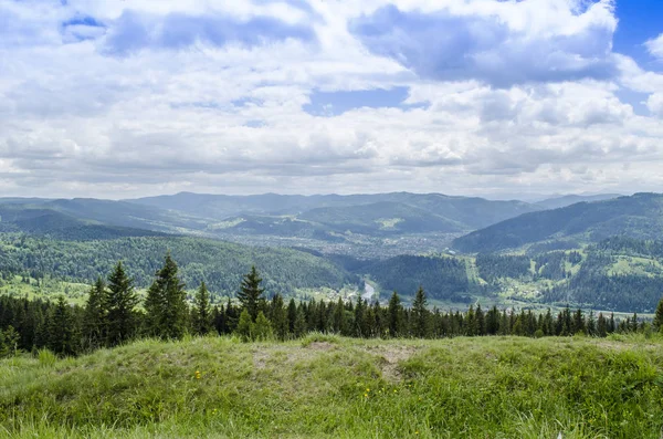 Vrcholky Hor Karpatských Hor Létě — Stock fotografie