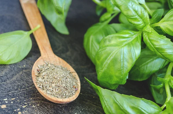 baharat, taze yeşil ve kuru zemin fesleğen