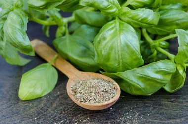 baharat, taze yeşil ve kuru zemin fesleğen