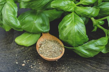 baharat, taze yeşil ve kuru zemin fesleğen